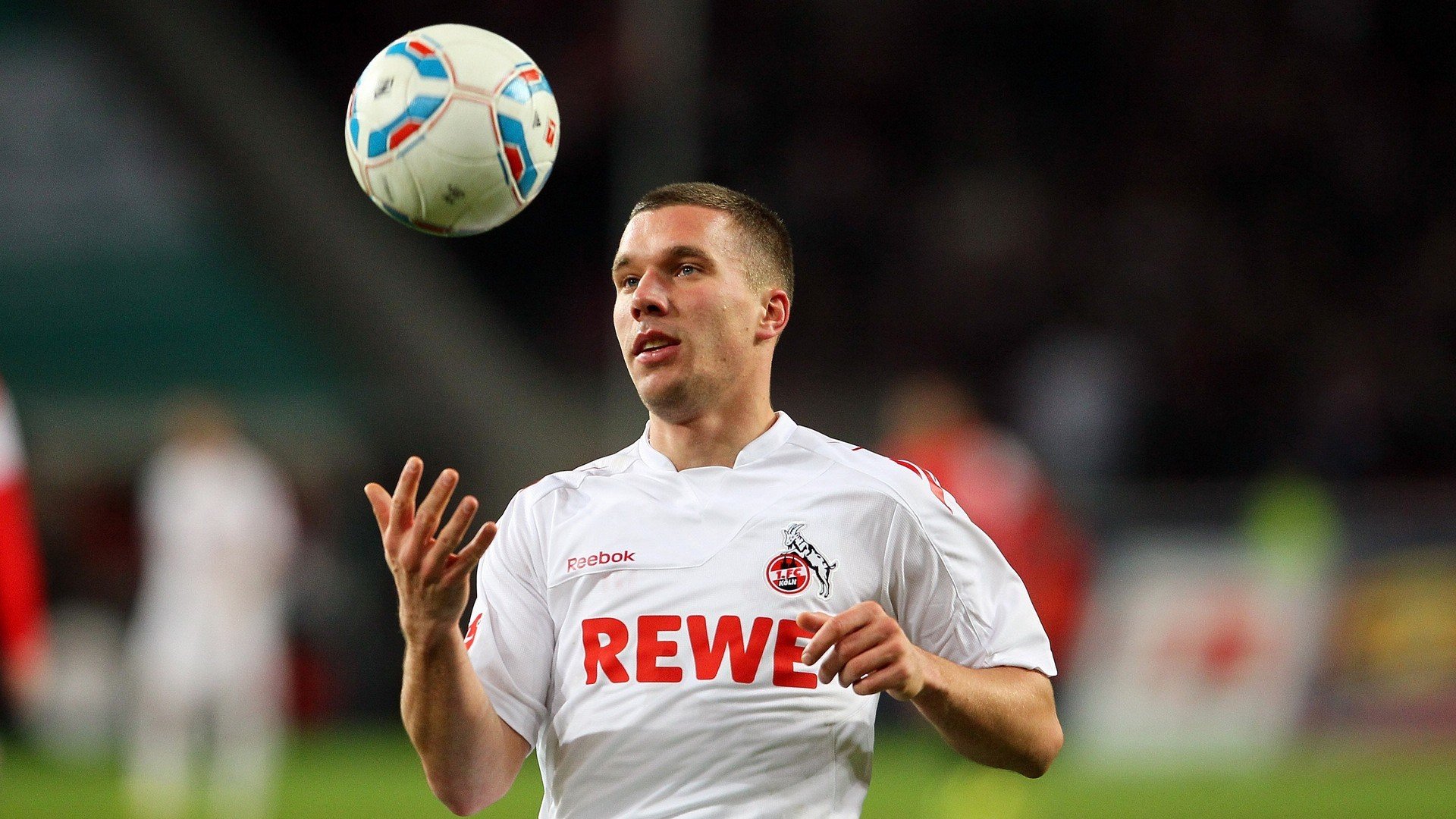 开云体育官网-伊朗马术协会举办青少年马术交流活动，促进国际友谊。，伊朗马种